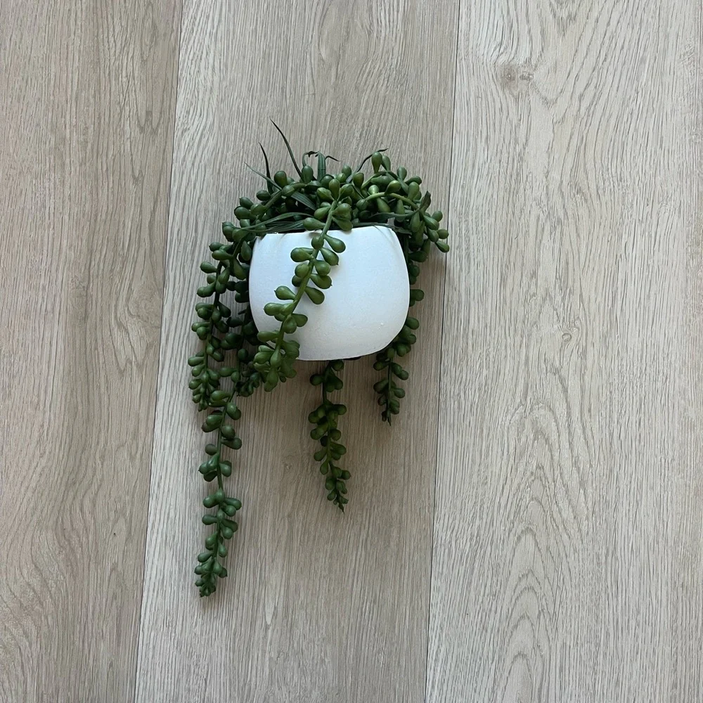 Faux Potted String of Pearls Succulent